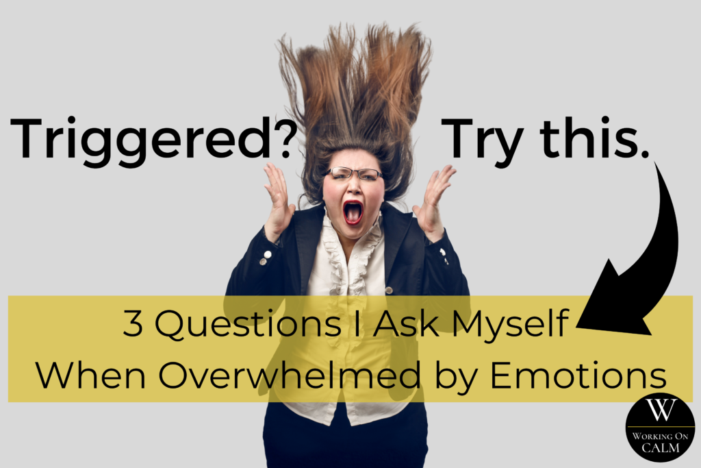 Triggered? Try This. Three Questions I Ask Myself When Overwhelmed by ...