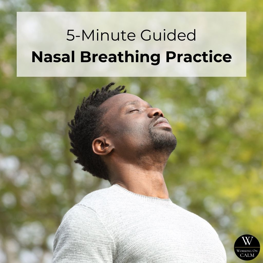 5-Minute Guided Nasal Breathing Practice